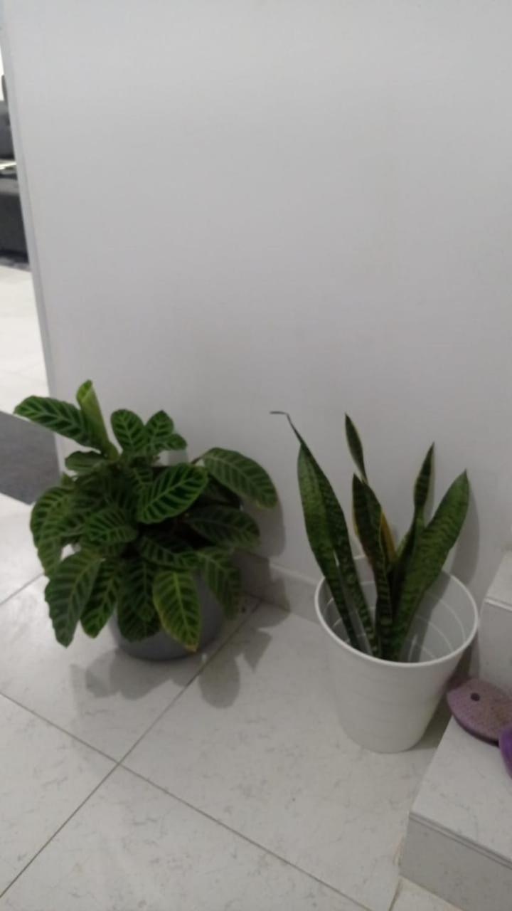 Apartment De Lujo Pareja Darien
